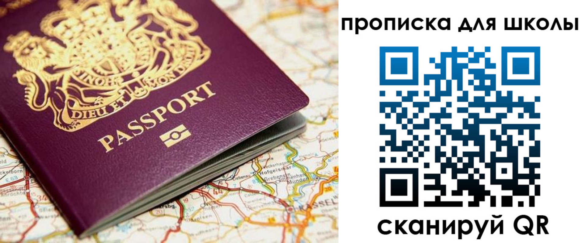 прописка гарантия в Ермолино